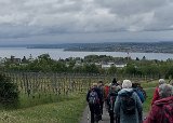 240420_blueten02__02