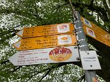 240420_blueten02__07
