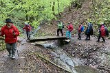 240420_blueten02__09