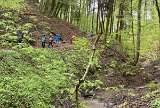 240420_blueten02__10