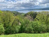 240420_blueten02__18