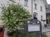 240420_blueten03__einkehr05