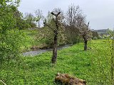 240501_radtour (06)