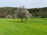 240501_radtour (07)