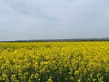 240501_radtour (19)