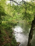 240515_sen_bittelschiesser_taele__46a