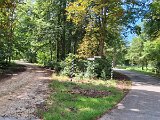 240821_Sen-Josefslust_01