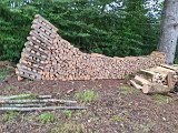 240821_Sen-Josefslust_05