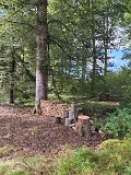 240821_Sen-Josefslust_06