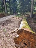 240821_Sen-Josefslust_10
