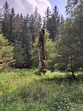 240821_Sen-Josefslust_11
