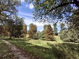 240821_Sen-Josefslust_14