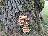 240821_Sen-Josefslust_15