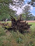 240821_Sen-Josefslust_16