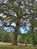 240821_Sen-Josefslust_17
