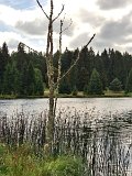 240821_Sen-Josefslust_19