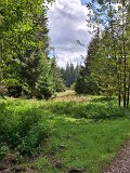 240821_Sen-Josefslust_28