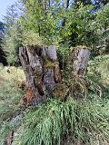 240821_Sen-Josefslust_29