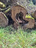 240821_Sen-Josefslust_30