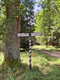 240821_Sen-Josefslust_37
