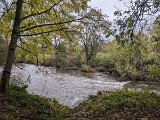 241023sen_zielfingen_085