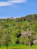 IMG-20240506-WA0001
