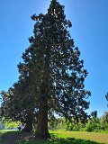IMG-20240506-WA0010
