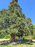 IMG-20240506-WA0011