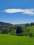 IMG-20240506-WA0012