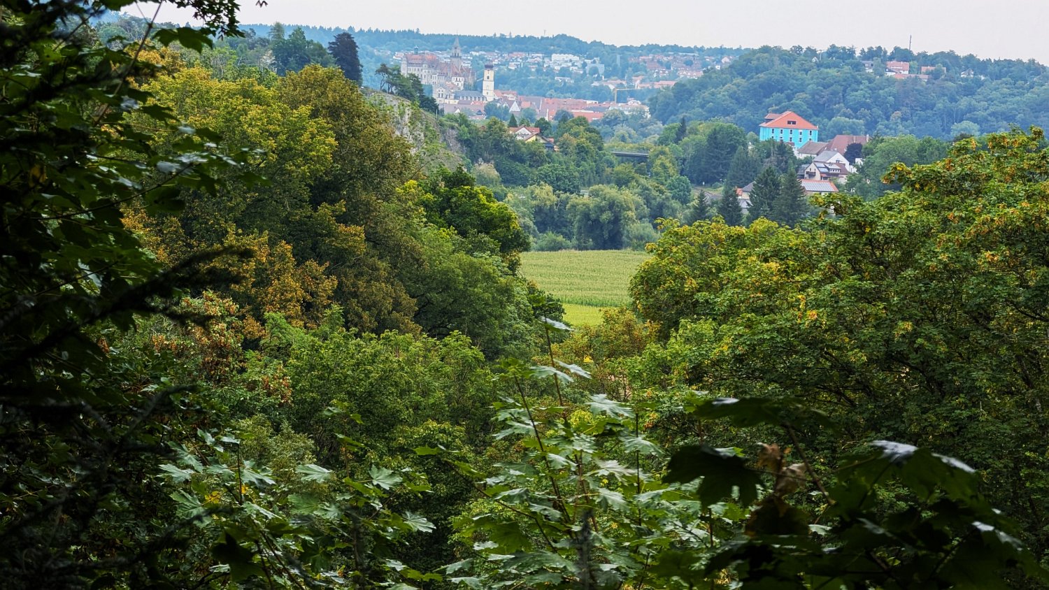 250820_Sen_Inzigkofen078.jpg