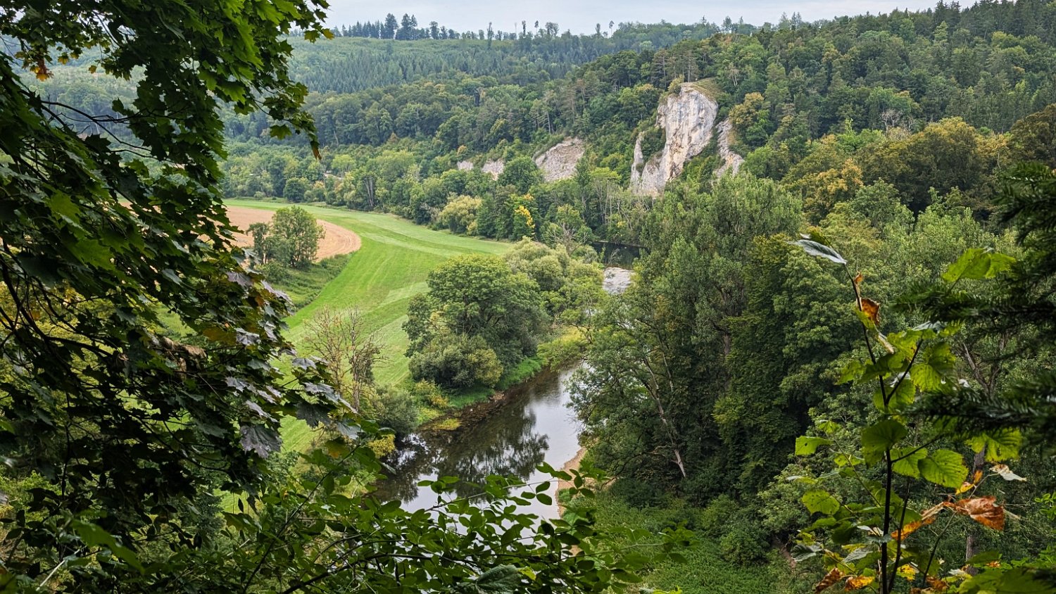250820_Sen_Inzigkofen088.jpg