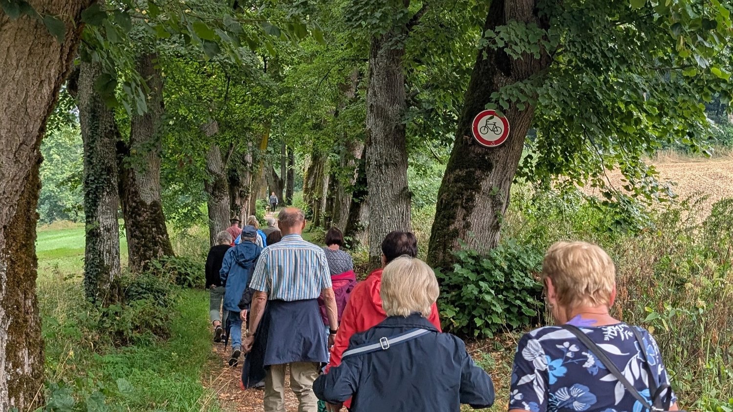250820_Sen_Inzigkofen117.jpg