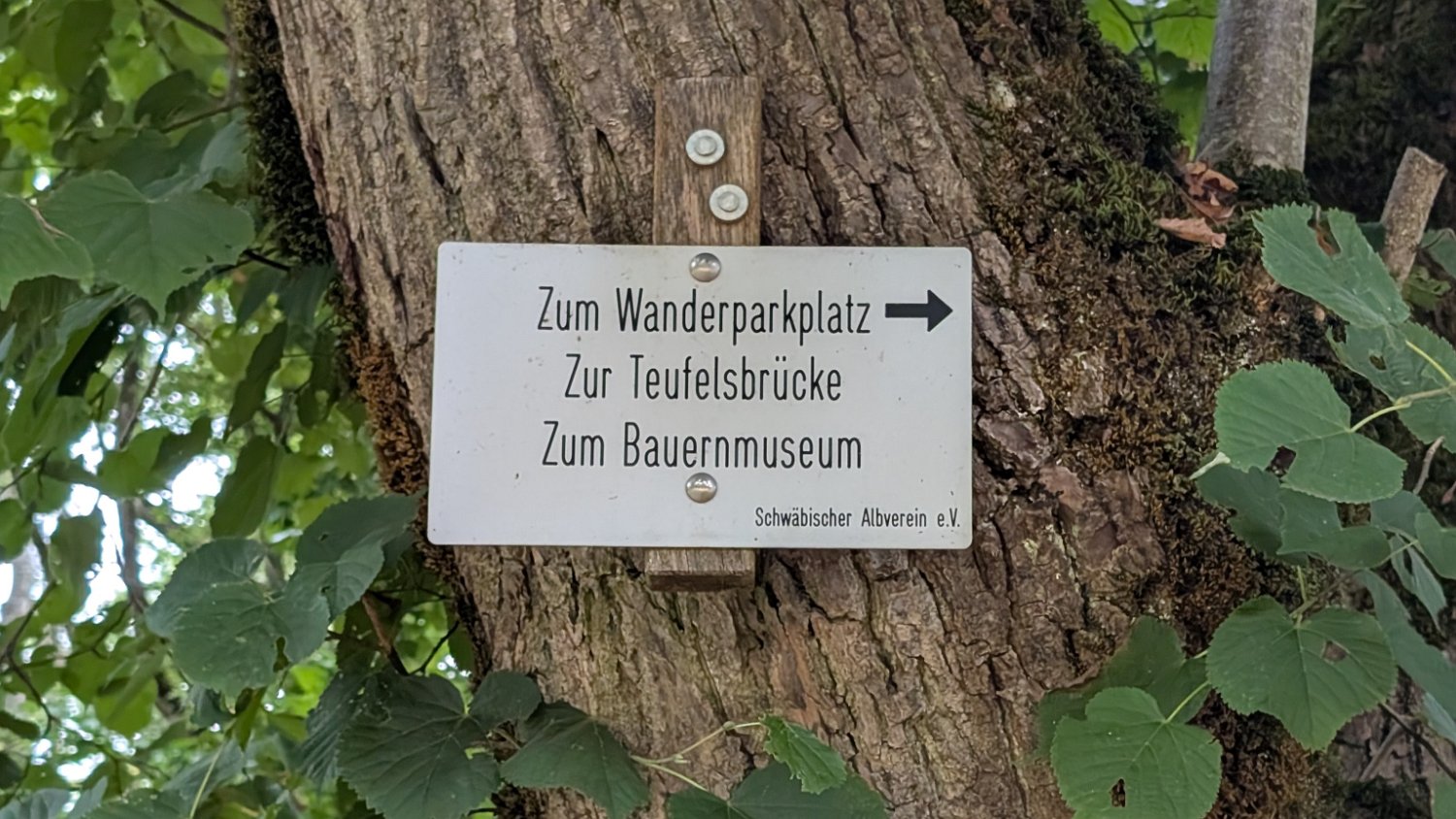 250820_Sen_Inzigkofen119.jpg