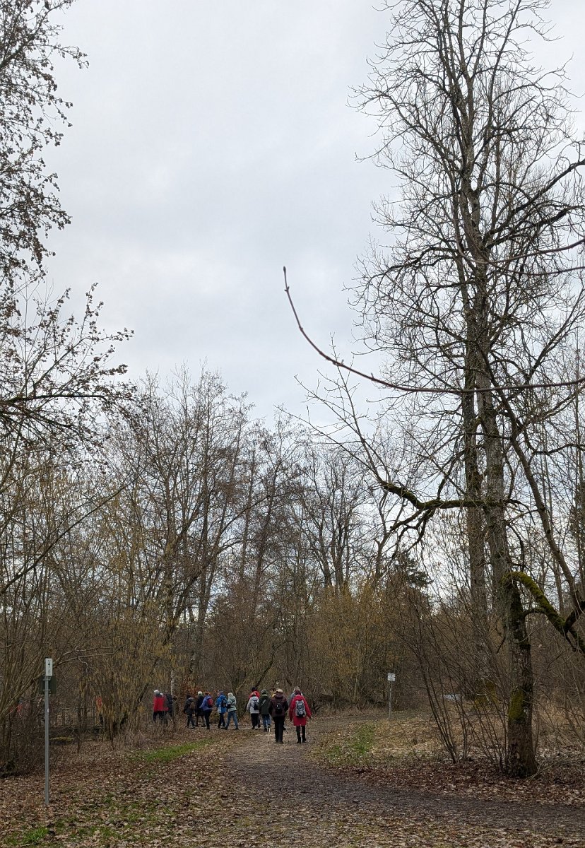 260222_Ablach074.jpg