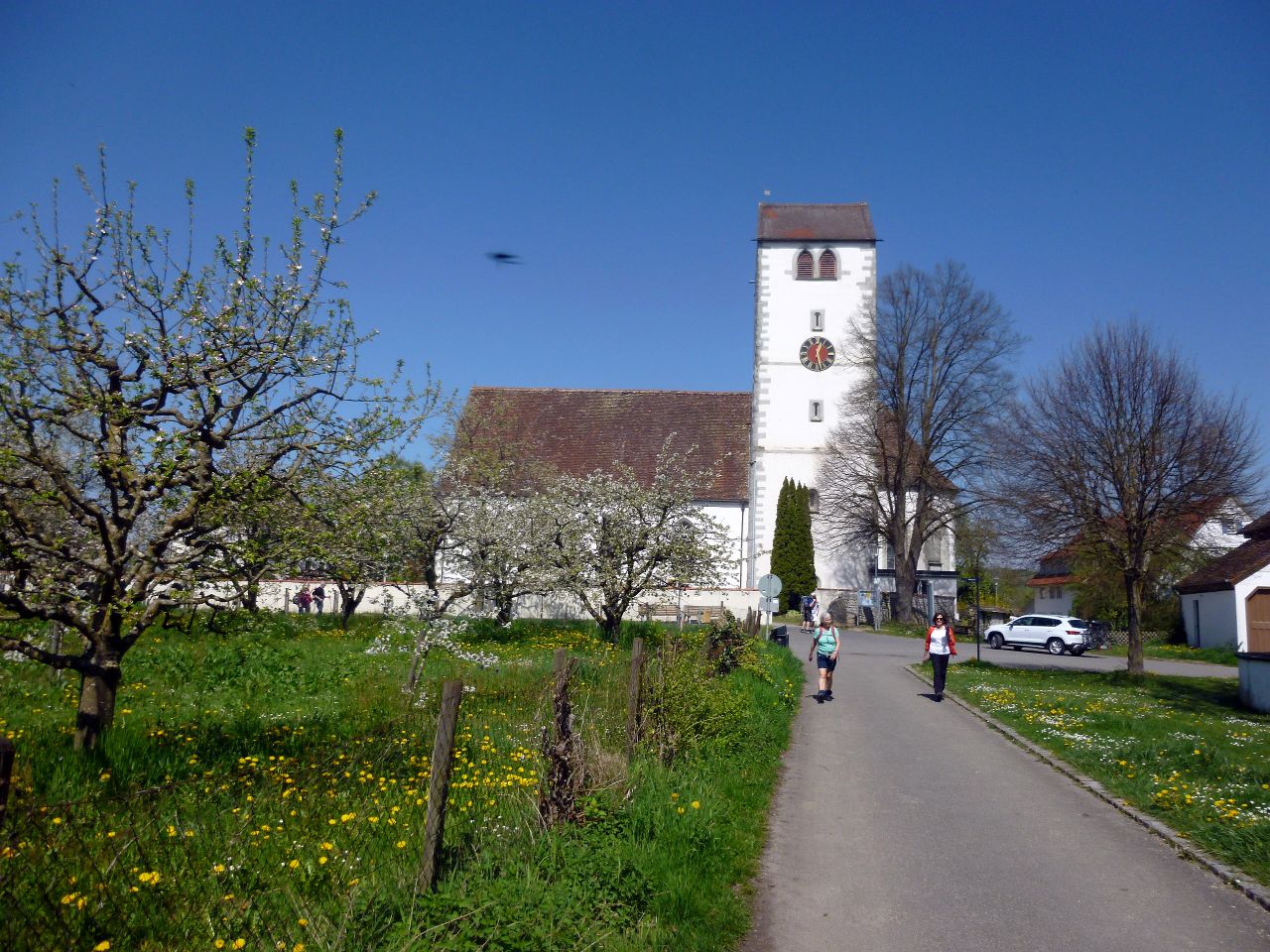 260418_Bluetenwanderung01_ (19).JPG