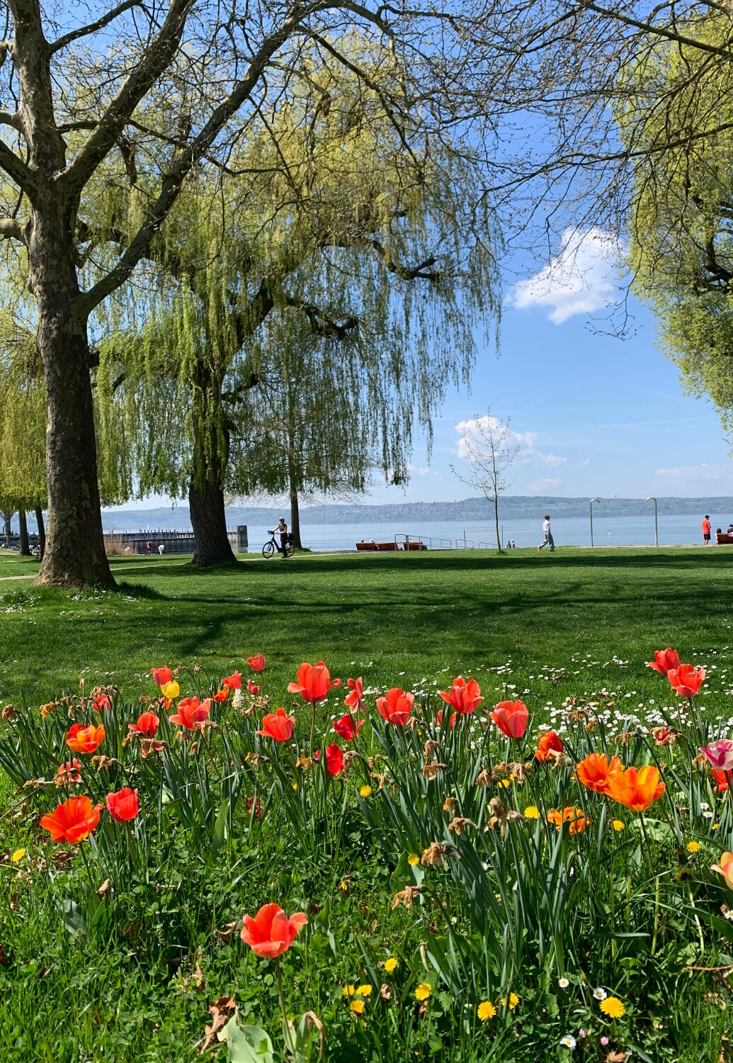 260418_Bluetenwanderung01_ (24).JPG