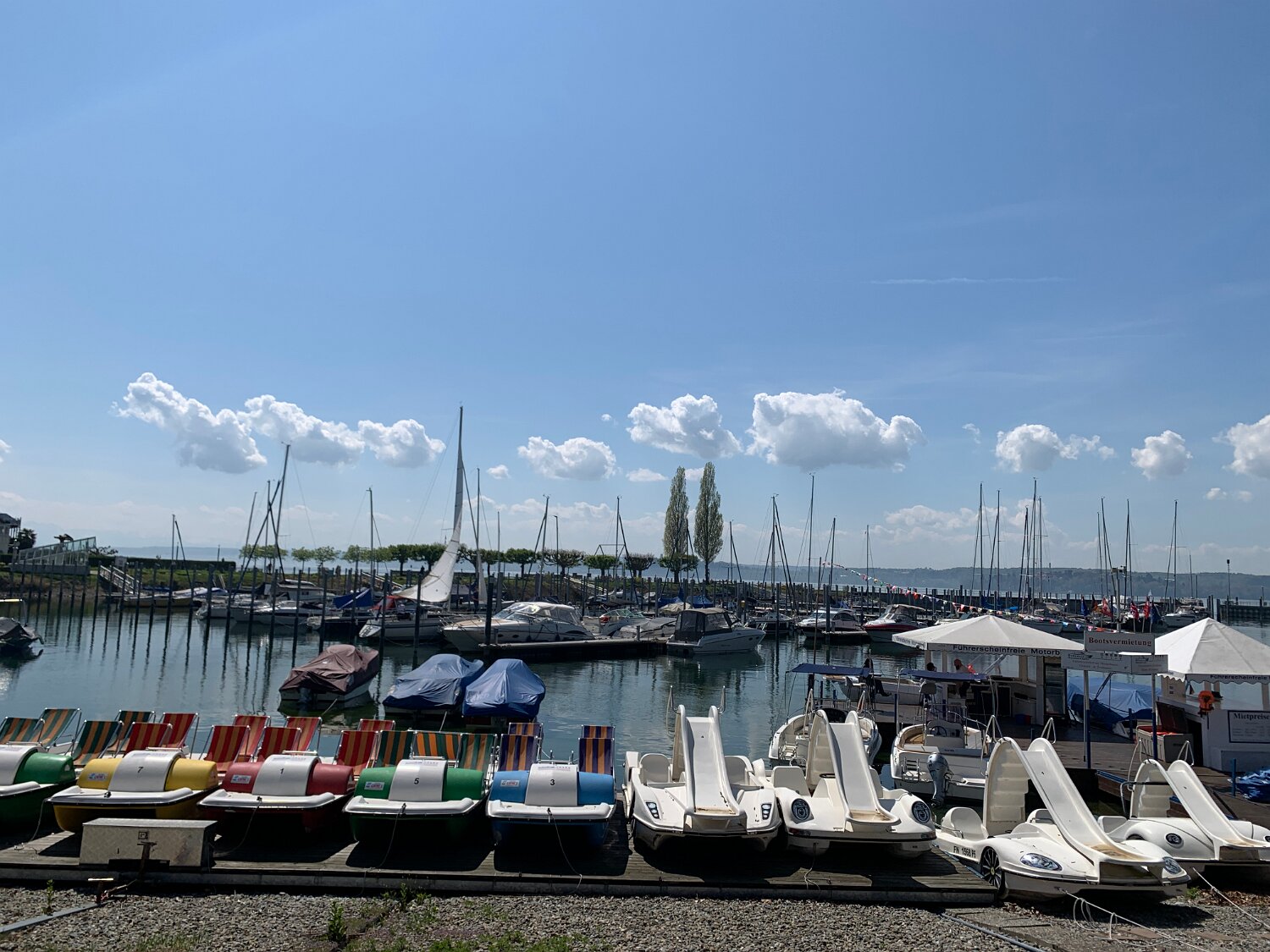 260418_Bluetenwanderung01_ (28).JPG