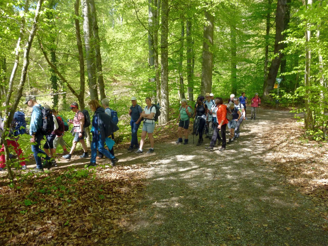 260418_Bluetenwanderung01_ (38).JPG