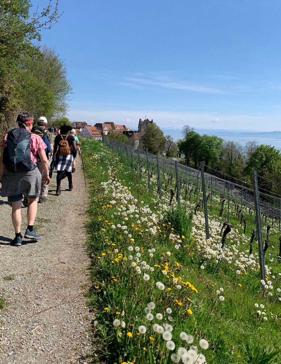 260418_Bluetenwanderung01_ (44).JPG