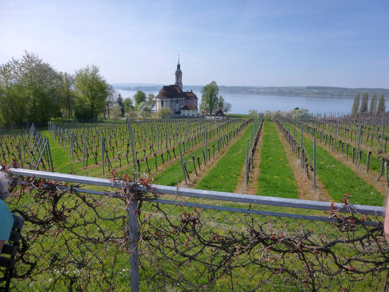 260418_Bluetenwanderung01_ (8).JPG