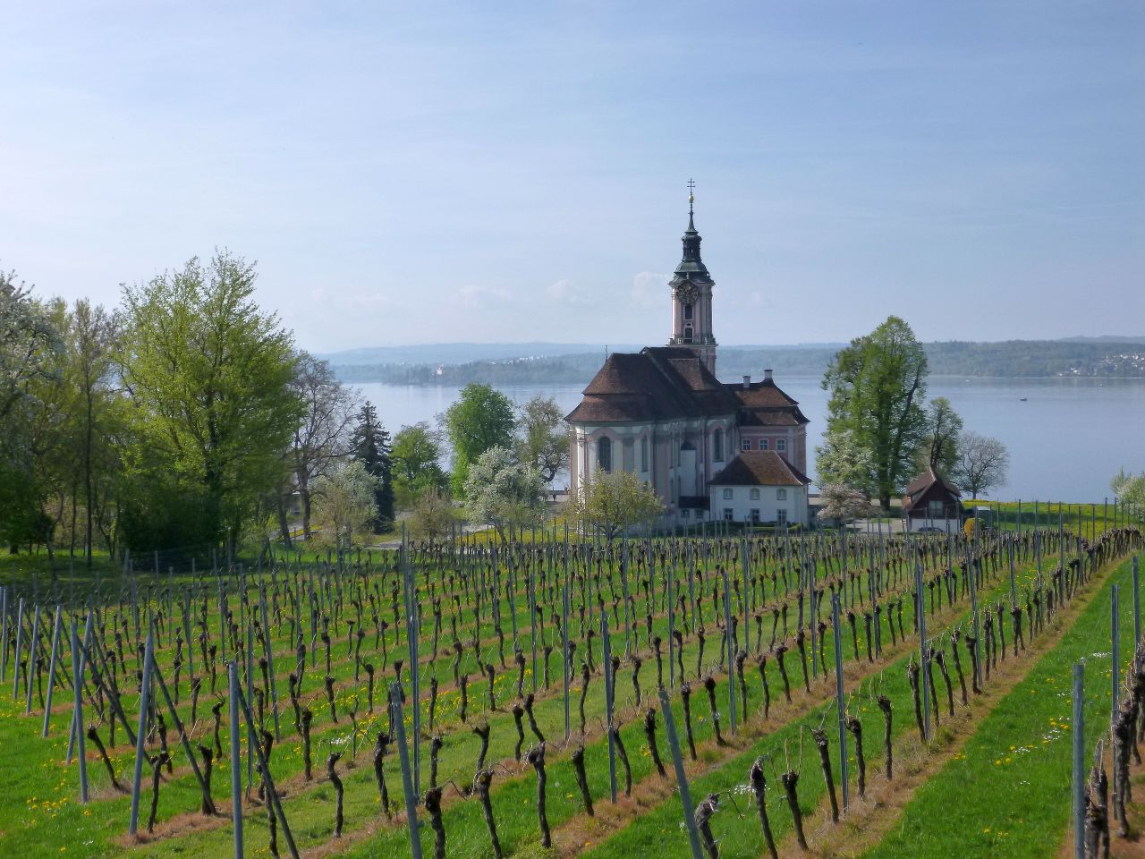 260418_Bluetenwanderung01_ (9).JPG