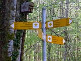 260418_Bluetenwanderung01_ (05)