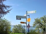 260418_Bluetenwanderung01_ (16)