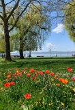 260418_Bluetenwanderung01_ (24)