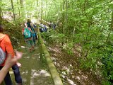 260418_Bluetenwanderung01_ (30)