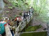 260418_Bluetenwanderung01_ (35)