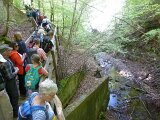 260418_Bluetenwanderung01_ (36)