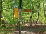 260418_Bluetenwanderung01_ (37)