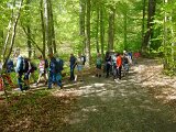 260418_Bluetenwanderung01_ (38)