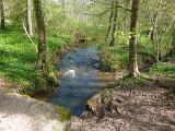 260418_Bluetenwanderung01_ (4)